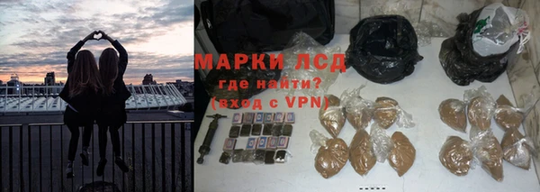 ПСИЛОЦИБИНОВЫЕ ГРИБЫ Балабаново
