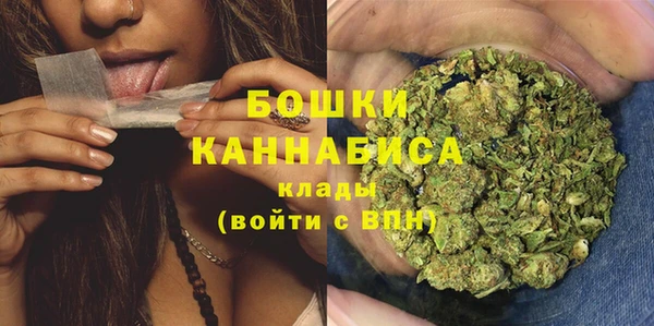 ПСИЛОЦИБИНОВЫЕ ГРИБЫ Балабаново