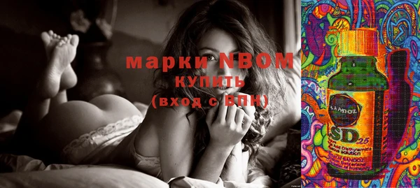 прущие грибы Баксан