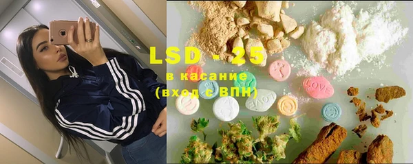 прущие грибы Баксан