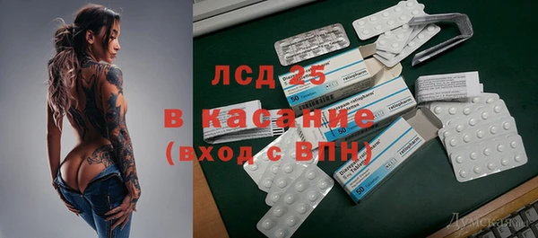 прущие грибы Баксан