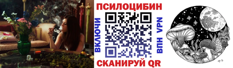 Купить где  Ялуторовск  Псилоцибиновые грибы Psilocybe 